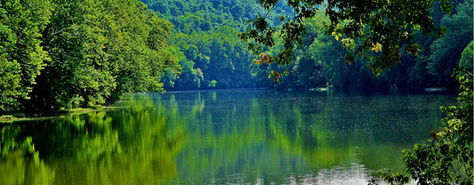Mammoth Park Fishing Derby