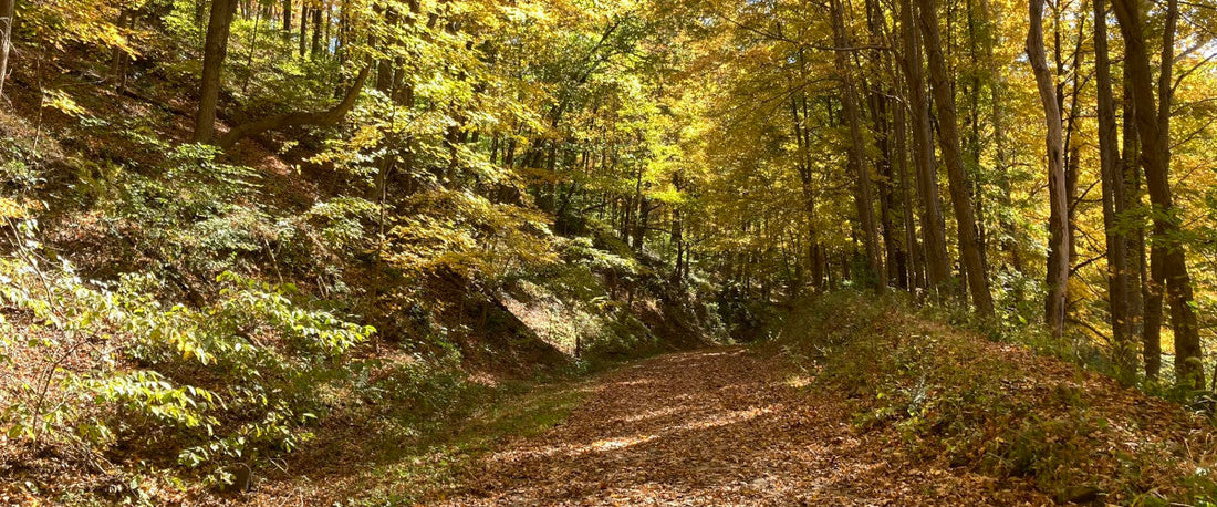 Indian Creek Valley and Bike Trail